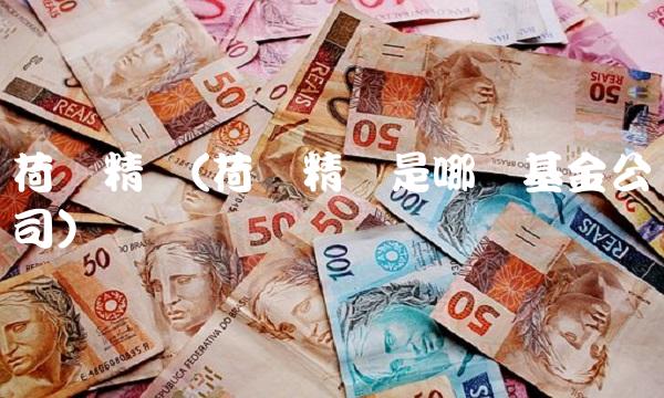 荷银精选(荷银精选是哪个基金公司)