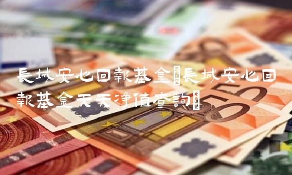 长城安心回报基金(长城安心回报基金天天净值查询)