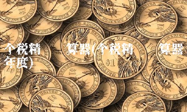 个税精灵计算器(个税精灵计算器年度)