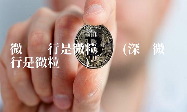 微众银行是微粒贷吗(深圳微众银行是微粒贷吗)