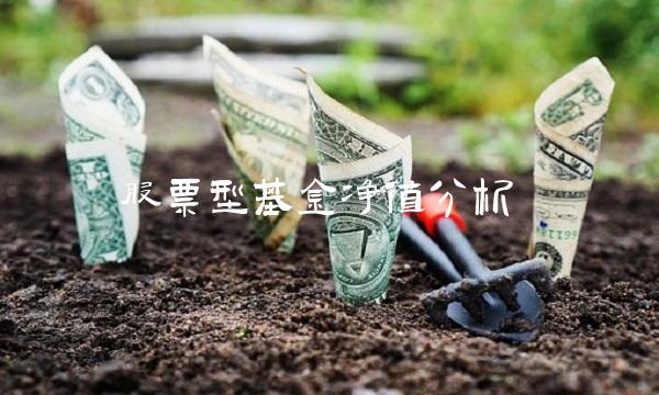 股票型基金净值分析