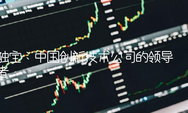 触宝：中国创新技术公司的领导者