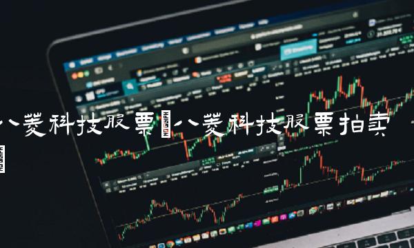 八菱科技股票(八菱科技股票拍卖)(1)