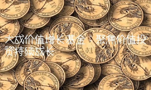大成价值增长基金：聚焦价值投资持续成长