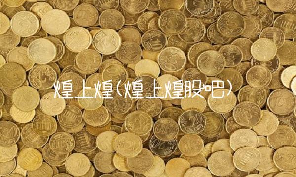 煌上煌(煌上煌股吧)