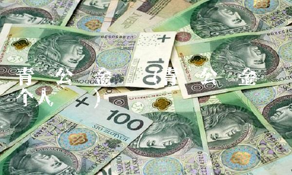 青岛公积金查询(青岛公积金查询个人账户)