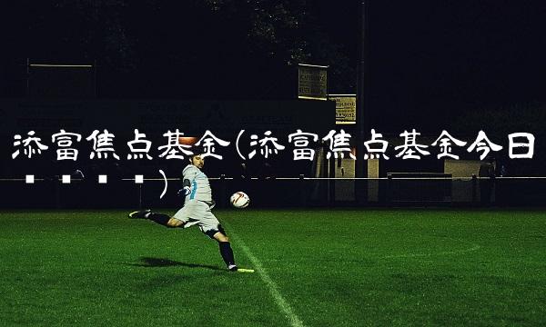 添富焦点基金(添富焦点基金今日净值查询)