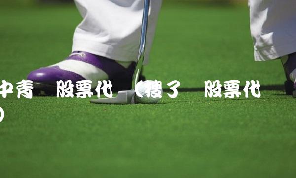 中青宝股票代码(搜了宝股票代码)(2)