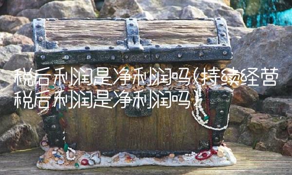 税后利润是净利润吗(持续经营税后利润是净利润吗)