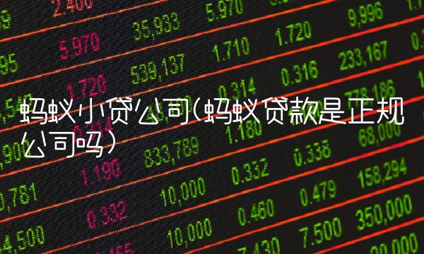 蚂蚁小贷公司(蚂蚁贷款是正规公司吗)