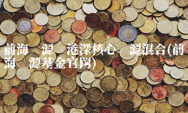 前海开源沪港深核心资源混合(前海开源基金官网)