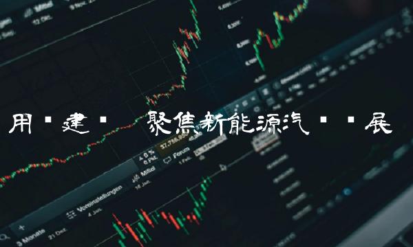 用车建兴——聚焦新能源汽车发展