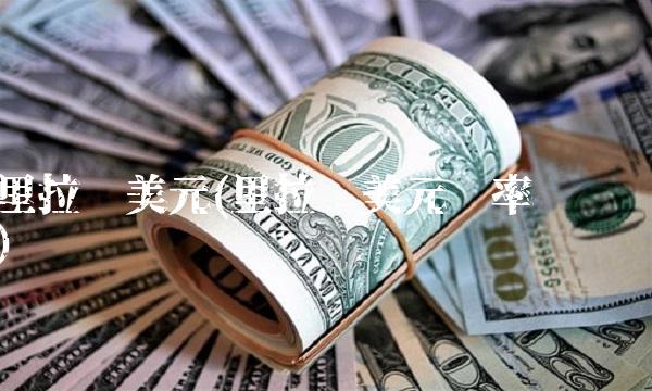 里拉兑美元(里拉兑美元汇率查询)