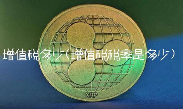 增值税多少(增值税税率是多少)(1)