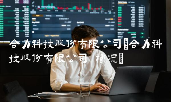 合力科技股份有限公司(合力科技股份有限公司 概况)