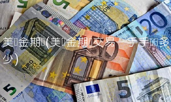 美黄金期货(美黄金期货交易一手手续费多少)