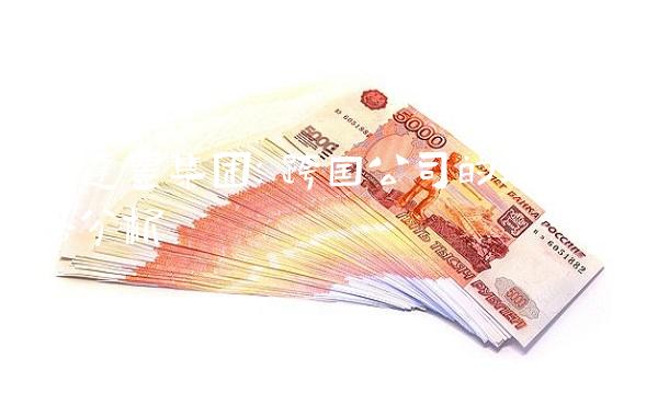 沃达丰集团：跨国公司的经营策略分析