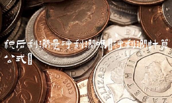 税后利润是净利润吗(净利润计算公式)