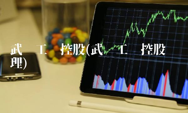 武汉工业控股(武汉工业控股总经理)