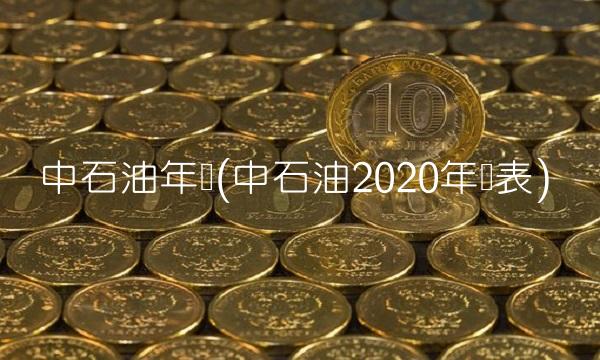 中石油年报(中石油2020年报表)