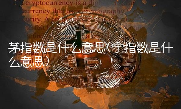 茅指数是什么意思(宁指数是什么意思)(1)