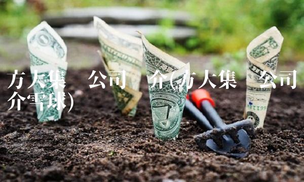 方大集团公司简介(方大集团公司简介雪球)