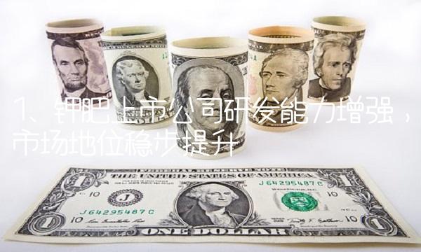1. 钾肥上市公司研发能力增强，市场地位稳步提升