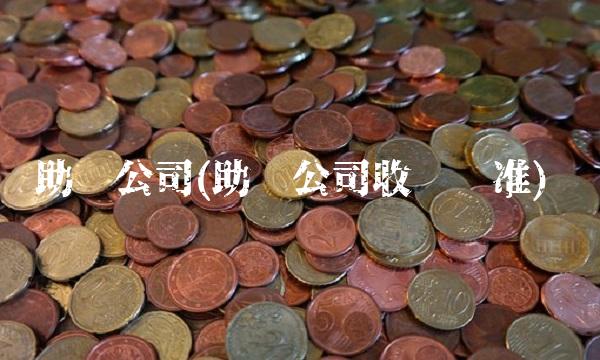助贷公司(助贷公司收费标准)