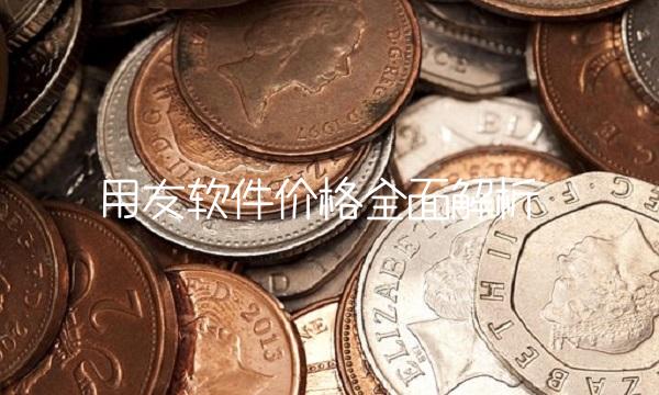 用友软件价格全面解析