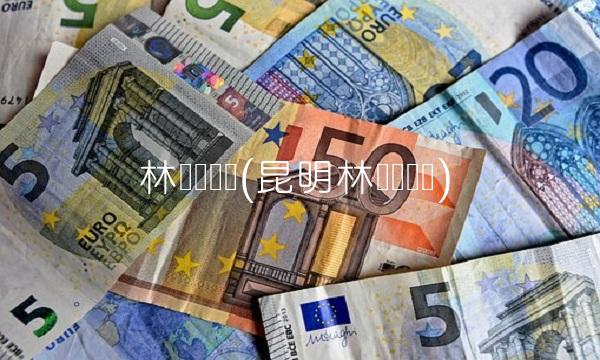 林争跃简历(昆明林争跃简历)