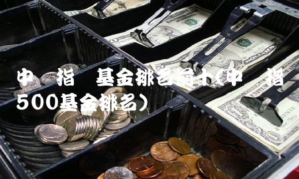 中证指数基金排名前十(中证指数500基金排名)