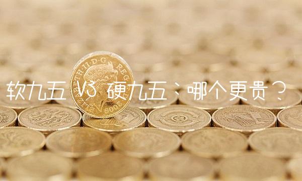 软九五 VS 硬九五：哪个更贵？