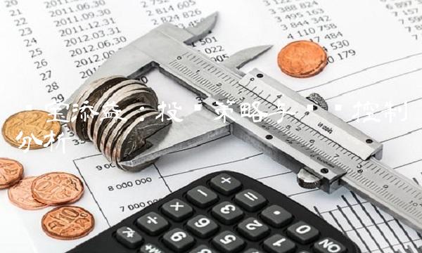 华宝添益：投资策略与风险控制分析