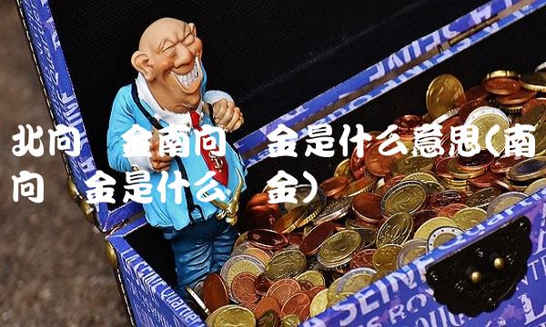 北向资金南向资金是什么意思(南向资金是什么资金)