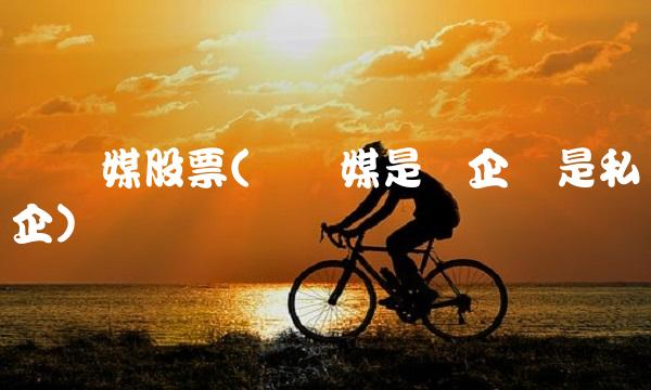 粤传媒股票(粤传媒是国企还是私企)