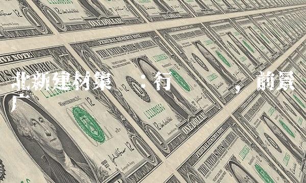 北新建材集团：行业龙头，前景广阔