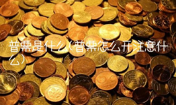 普票是什么(普票怎么开注意什么)