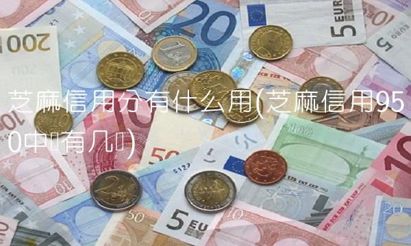 芝麻信用分有什么用(芝麻信用950中国有几个)