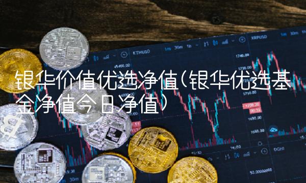 银华价值优选净值(银华优选基金净值今日净值)