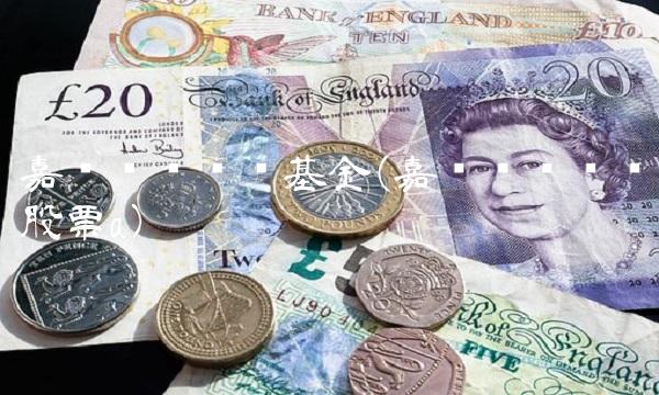 嘉实农业产业基金(嘉实农业产业股票a)(1)