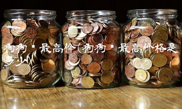 狗狗币最高价(狗狗币最高价格是多少)