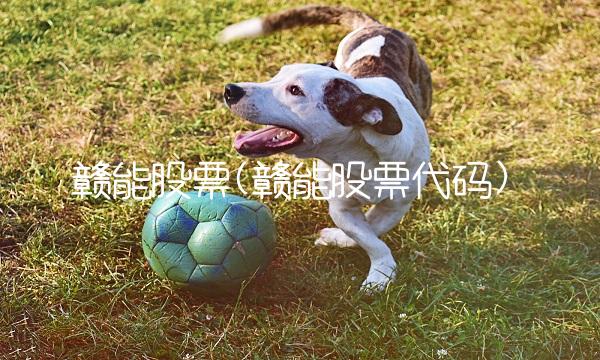 赣能股票(赣能股票代码)(1)