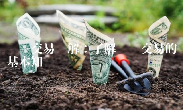 权证交易详解：了解权证交易的基本知识