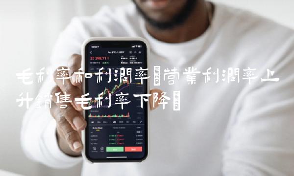 毛利率和利润率(营业利润率上升销售毛利率下降)