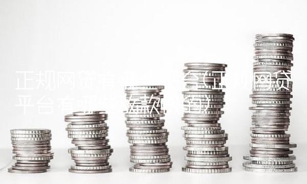 正规网贷有哪些平台(正规网贷平台有哪些放款快的)