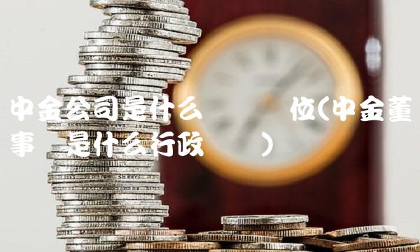 中金公司是什么级别单位(中金董事长是什么行政级别)