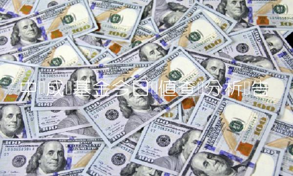 中邮成长基金今日净值查询分析报告