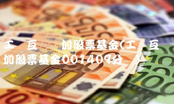 工银互联网加股票基金(工银互联网加股票基金001409分红)