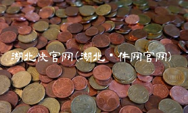 湖北快官网(湖北软件网官网)