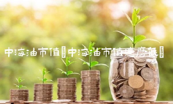 中海油市值(中海油市值这么低)